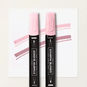 163824 Stampin Blends Kombipack Rosé gebraucht