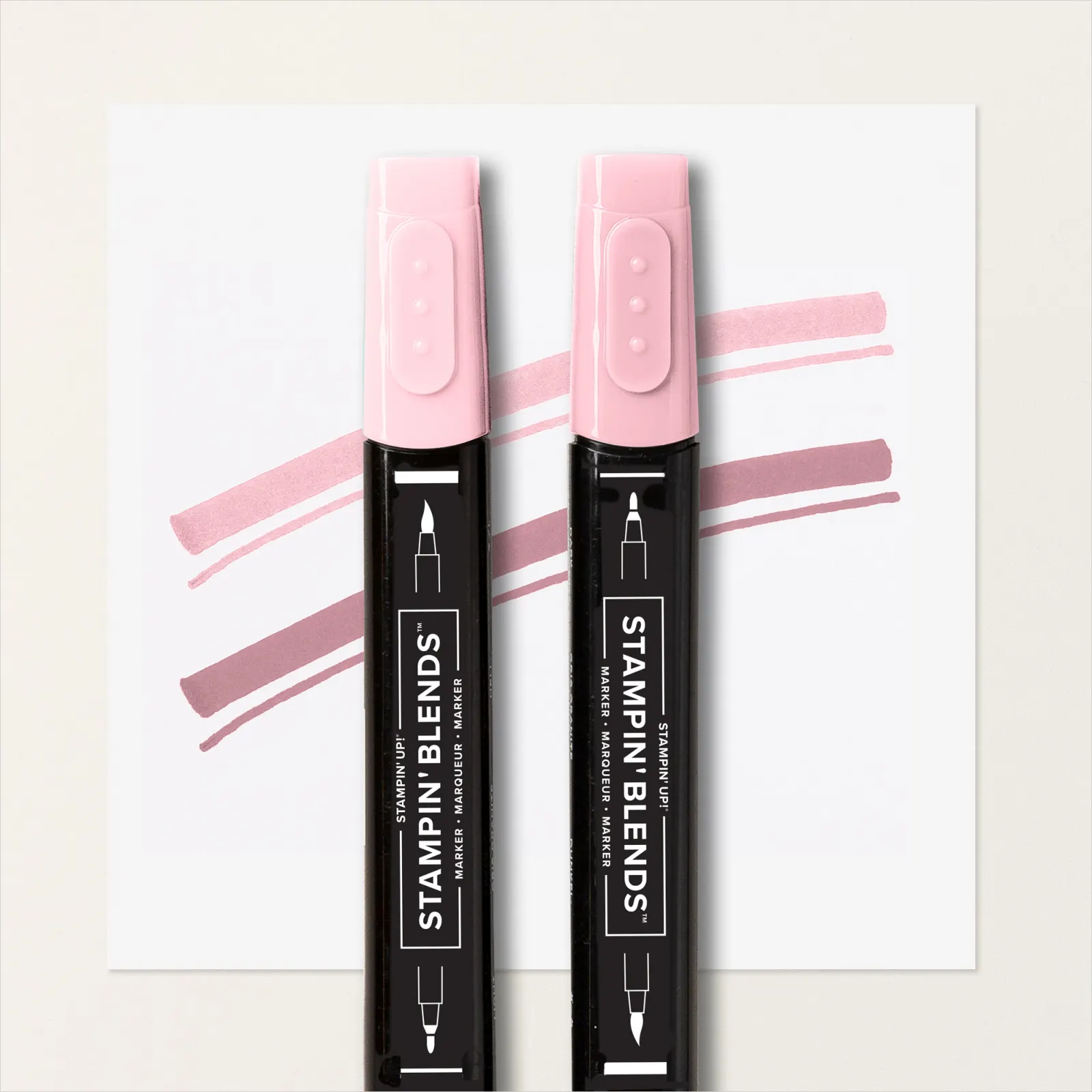 163824 Stampin Blends Kombipack Rosé gebraucht