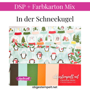 DSP + Farbkarton Mix In der Schneekugel