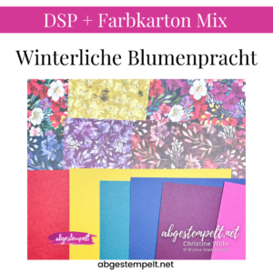 DSP + Farbkarton Mix Winterliche Blumenpracht