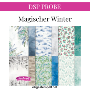 DSP PROBE Magischer WInter