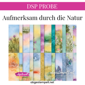 DSP Probe Aufmerksam durch die Natur