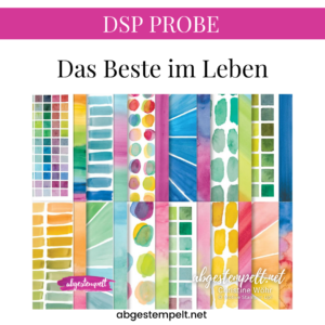 DSP Probe Das beste Im Leben