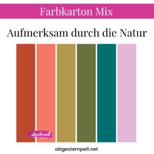 Farbkarton Mix Aufmerksam durch die Natur