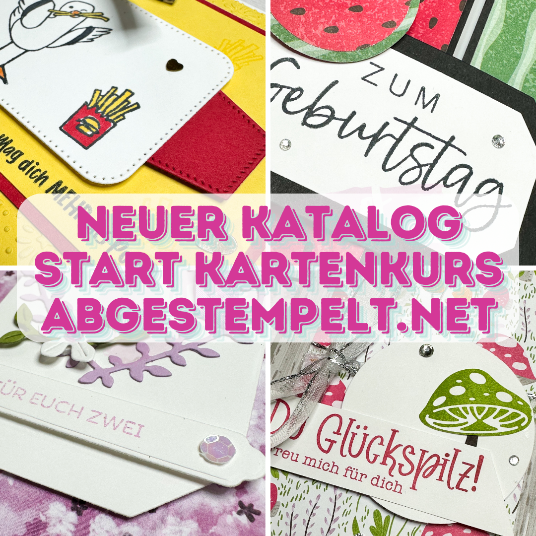 Neuer Katalog Start Kartenkurs Bastelanleitung PDF