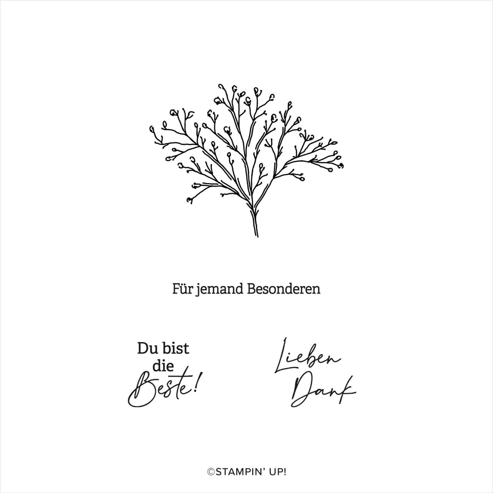 Kreativset Dankbarer Garten 164400 Stempelset Stampin Up
