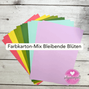 Farbkarton-Mix Bleibende Blüten Stampin Up