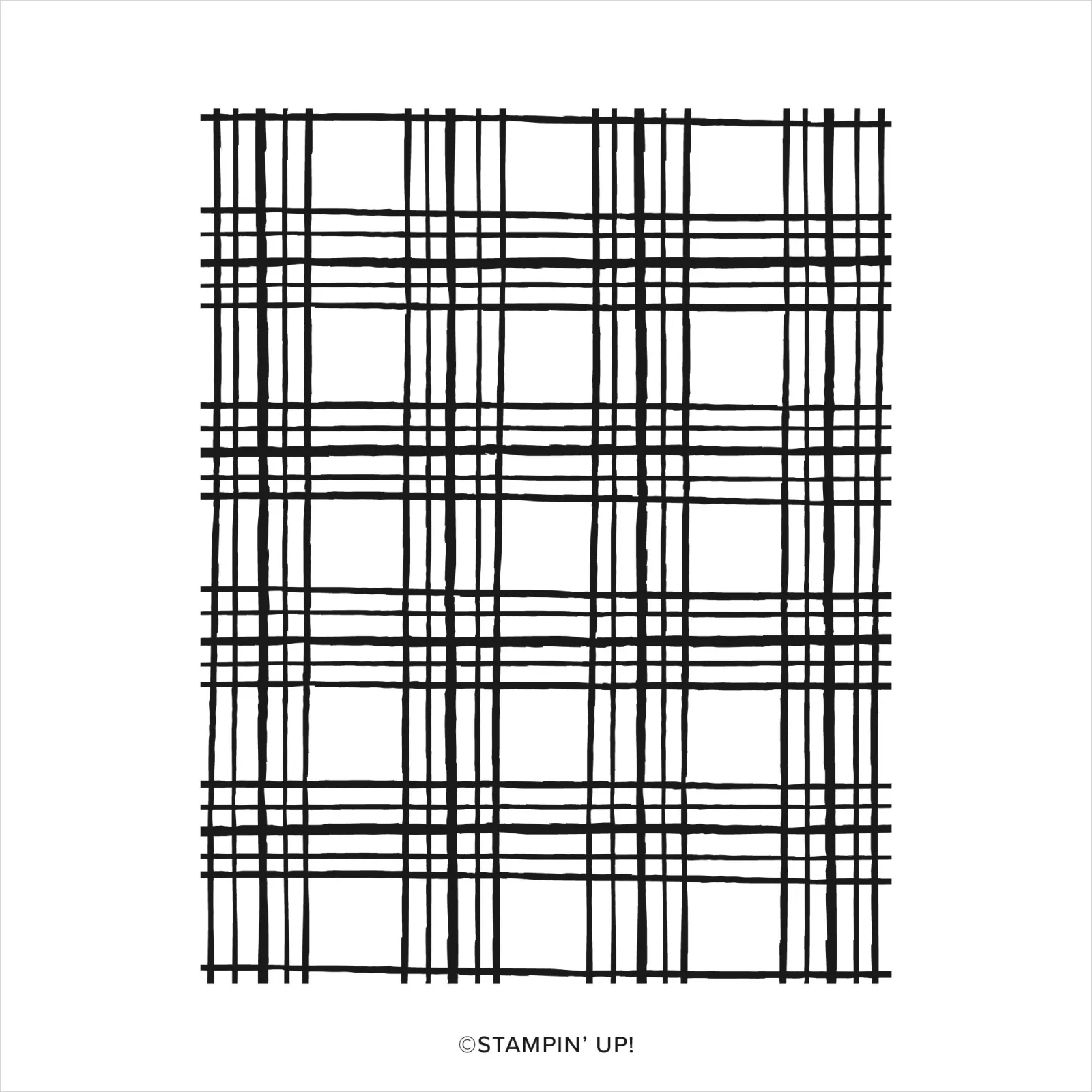 161424 Stempelset Sketched Plaid Stampni Up