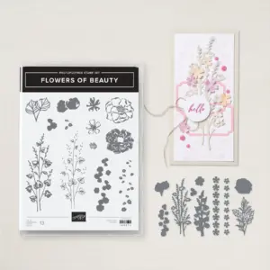 Stempelset Flowers of Beauty + Stanzformen Stampin Up 163376