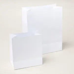 164922 Geschenktüten im Kombipack Stampin Up