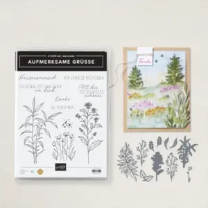 163316 Stampin Up Produktpaket Aufmerksame Grüsse im abgestempelt Flohmarkt günstig kaufen