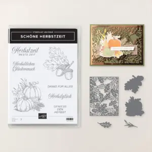 165895 Stampin Up Schöne Herbstzeit abgestempelt