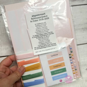 Stampin Up Schnupperpaket In Color 2026 2028
